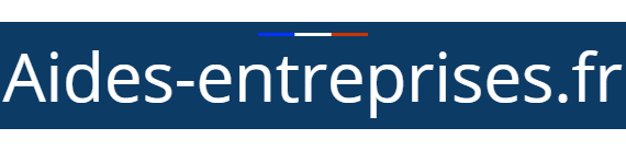 Logo Aides-entreprise.fr